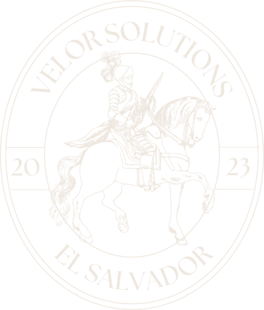 Velor Solutions crest